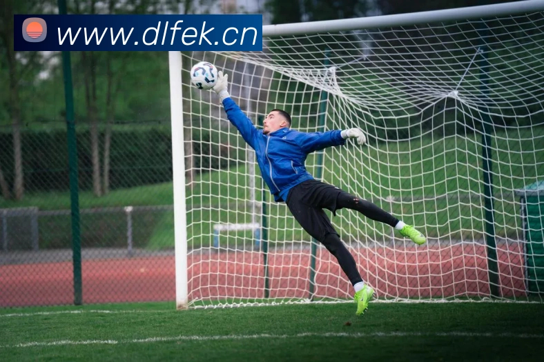 星空体育网页登录版平台生态图